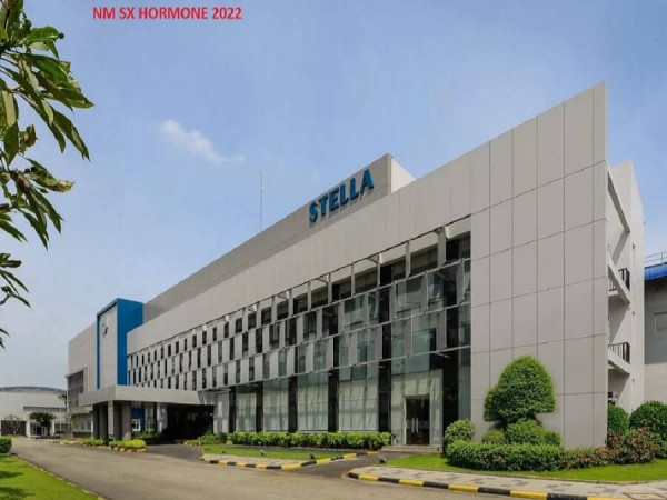 Thi công màn cửa tại nhà máy sản xuất Hormone 2022