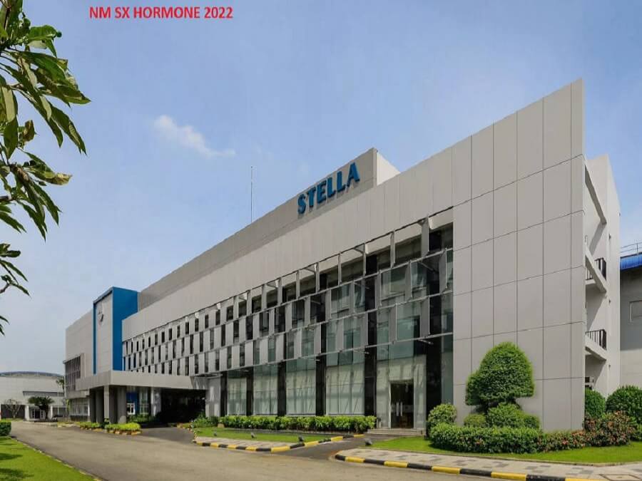 Thi công màn cửa tại nhà máy sản xuất Hormone 2022